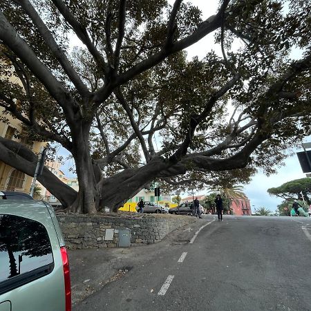 La Scalinata Apartment บอร์ดิเกรา ภายนอก รูปภาพ